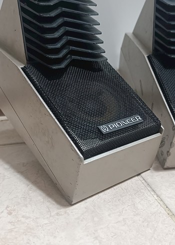 PIONEER ÖRDEK KAFA