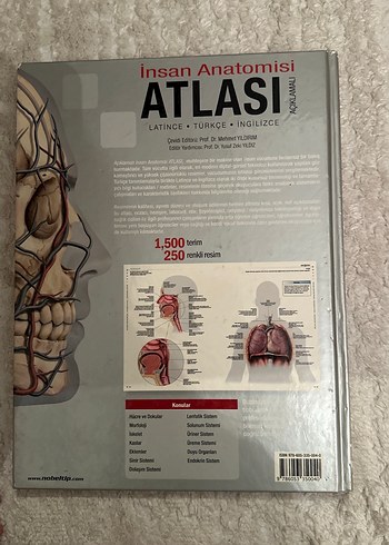 İnsan Anatomisi Atlası - Latince, Türkçe, İngilizce - Görsel 4