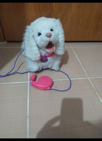  Cici köpeğim go go fur reall