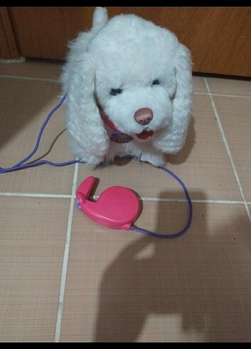  Beden Renk Cici köpeğim go go fur reall