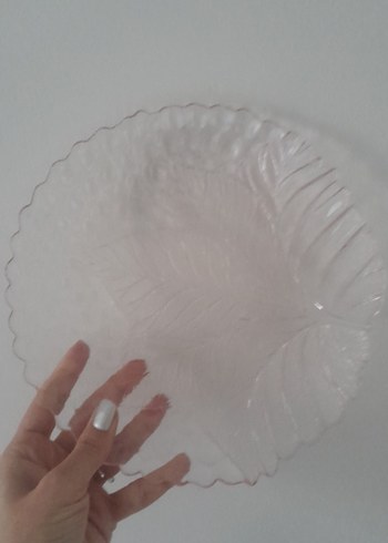 Yaprak Desenli Pembe ve Şeffaf Tabak Seti - Görsel 3