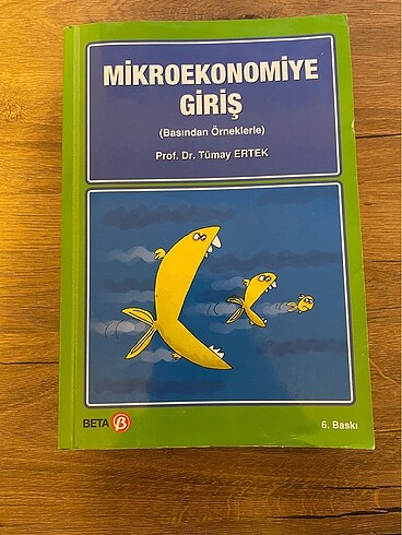 mikroekonomiye giris