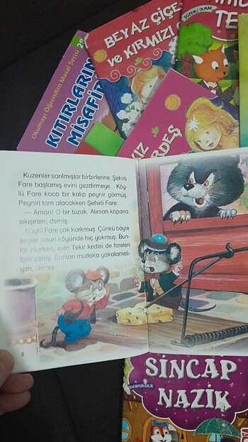  Beden Renk 15 adet hikaye