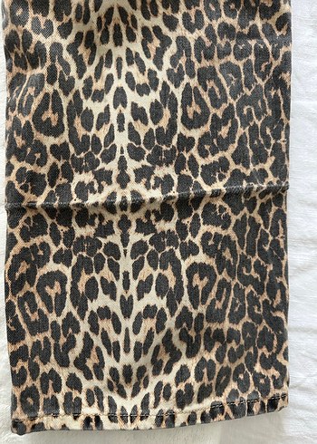 Leopar Jean   - Görsel 6