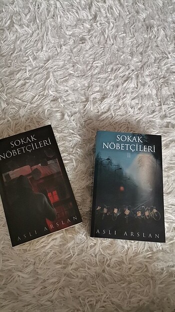 Sokak nöbetçileri serisi aslı arslan 