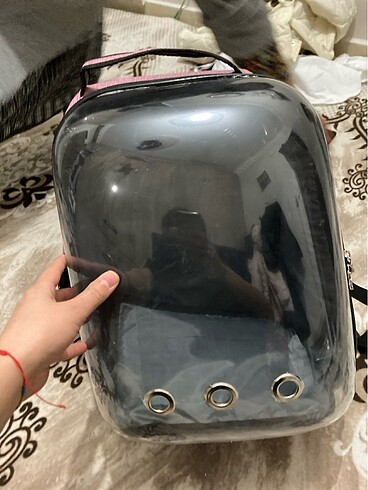 Kedi taşıma çantası