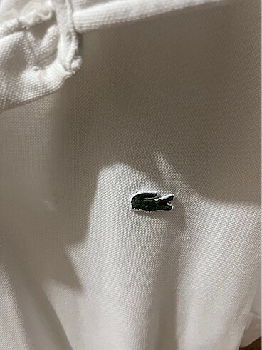 m Beden Lacoste
