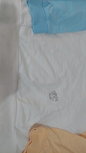 LC Waikiki LCW uzun kollu Sweatshirt renkli, 12-13 yaş kız çocuk için 