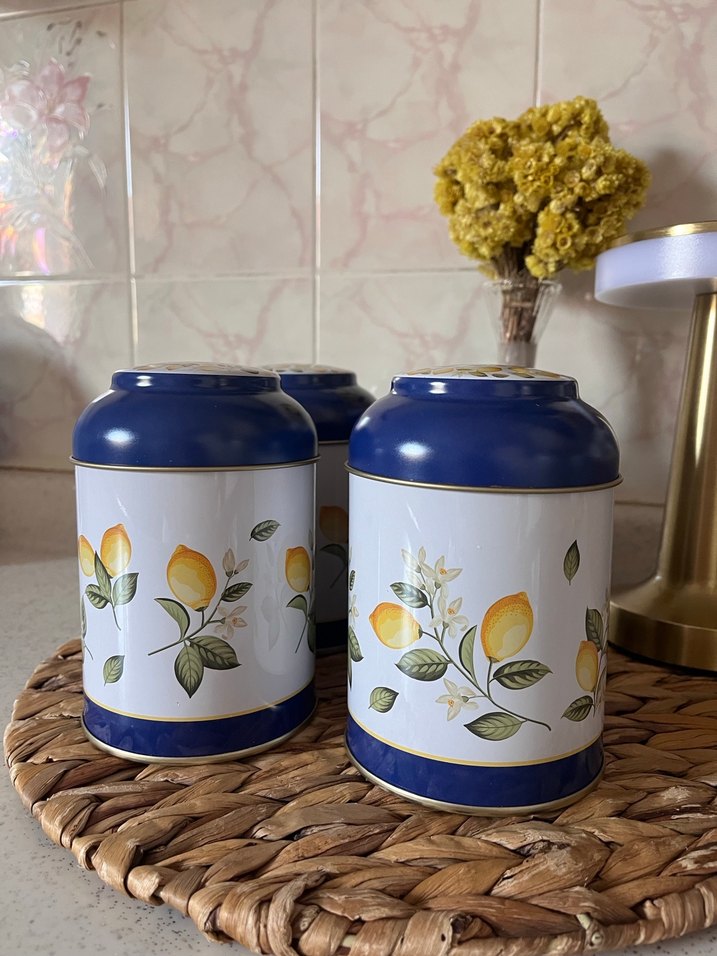 Limon desenli mavi baharatlık seti - Görsel 2