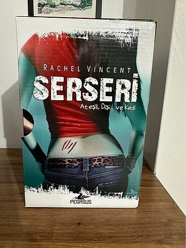  Serseri Serisi Kutulu Set