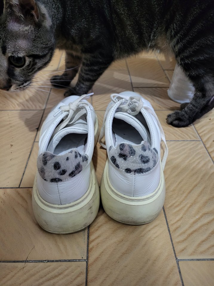 Gri Yılan Desenli Beyaz Bağcıklı Kadın Spor Ayakkabı - Görsel 2