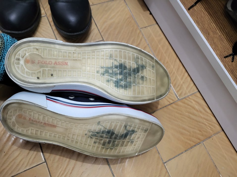 U.s polo Renkli Baskılı Mavi Kadın Spor Ayakkabı - Görsel 5