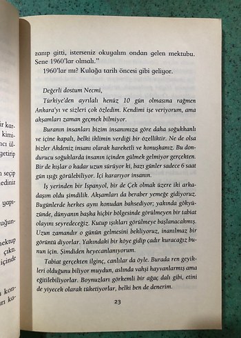 Beden Fincan Teyzenin Kurabiyeleri - Pelin Güneş