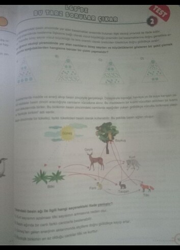 8. Sınıf Fen bilimleri Test Kitabı - Görsel 2