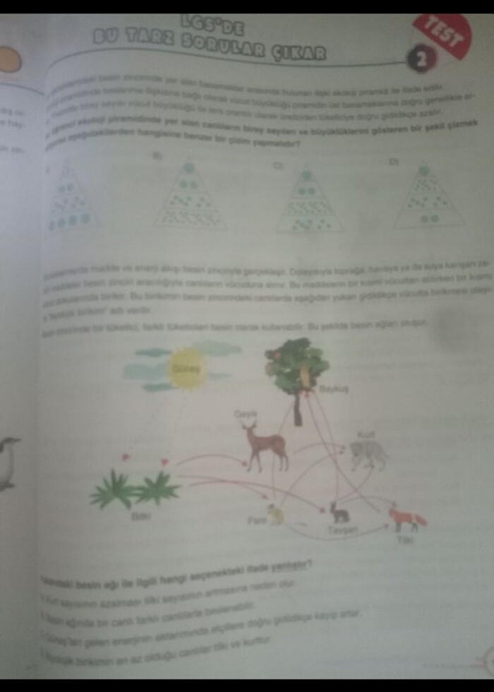 8. Sınıf Fen bilimleri Test Kitabı - Görsel 2