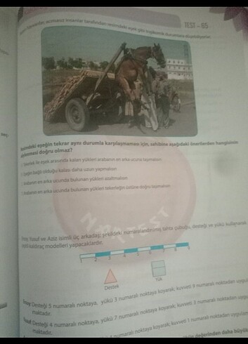 Nar Test 8. Sınıf Fen Bilimleri Test - Görsel 2