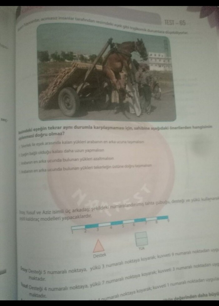 Nar Test 8. Sınıf Fen Bilimleri Test - Görsel 2