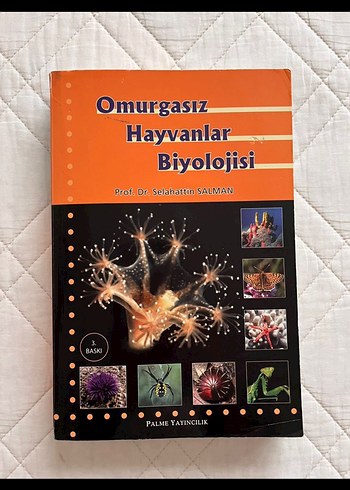 Omurgasız Hayvanlar Biyolojisi Kitabı