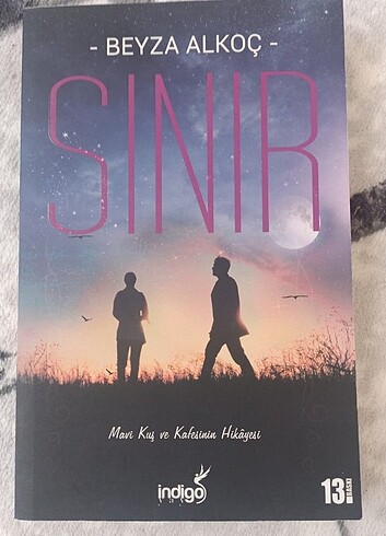 SINIR BEYZA ALKOÇ