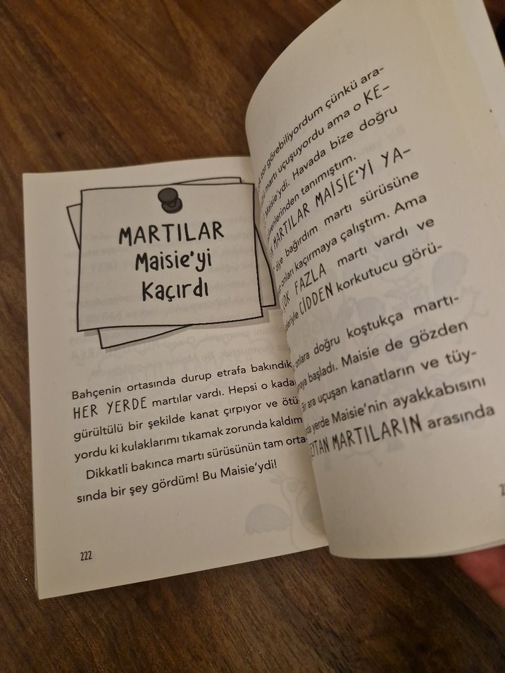 Kapuska Operasyonu - Çocuk Kitabı - Görsel 5