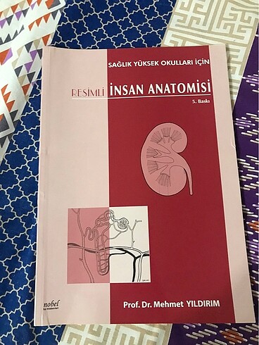 Resimli insan anatomisi