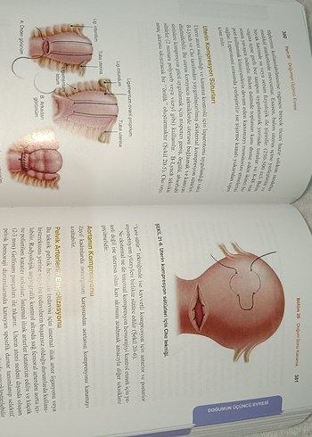 Eylem & Doğum Sağlık Kitabı - Görsel 2