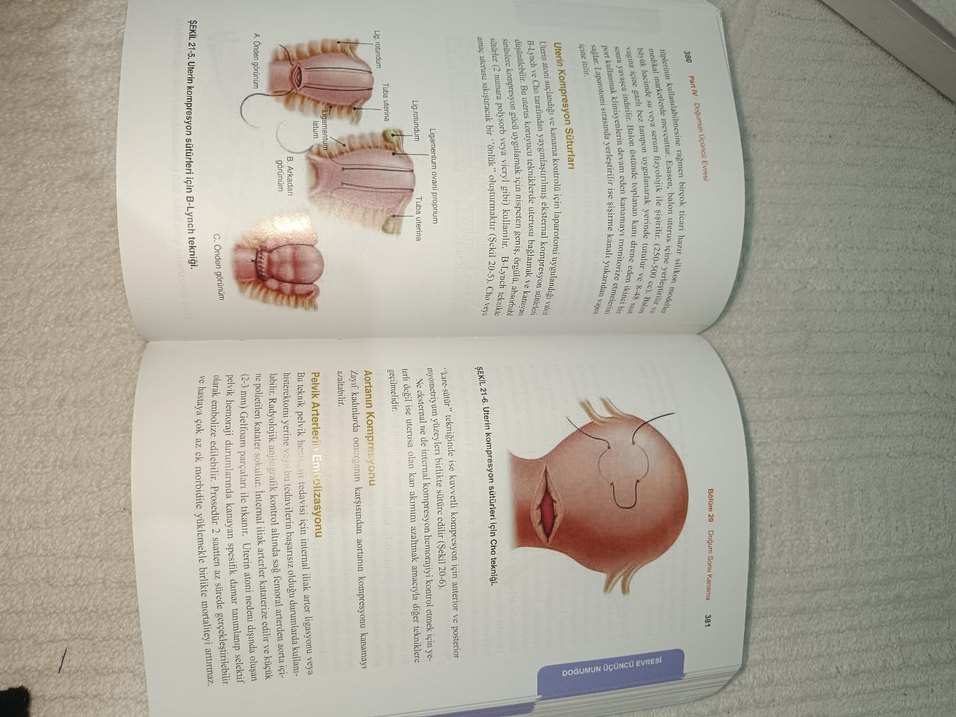 Eylem & Doğum Sağlık Kitabı - Görsel 2