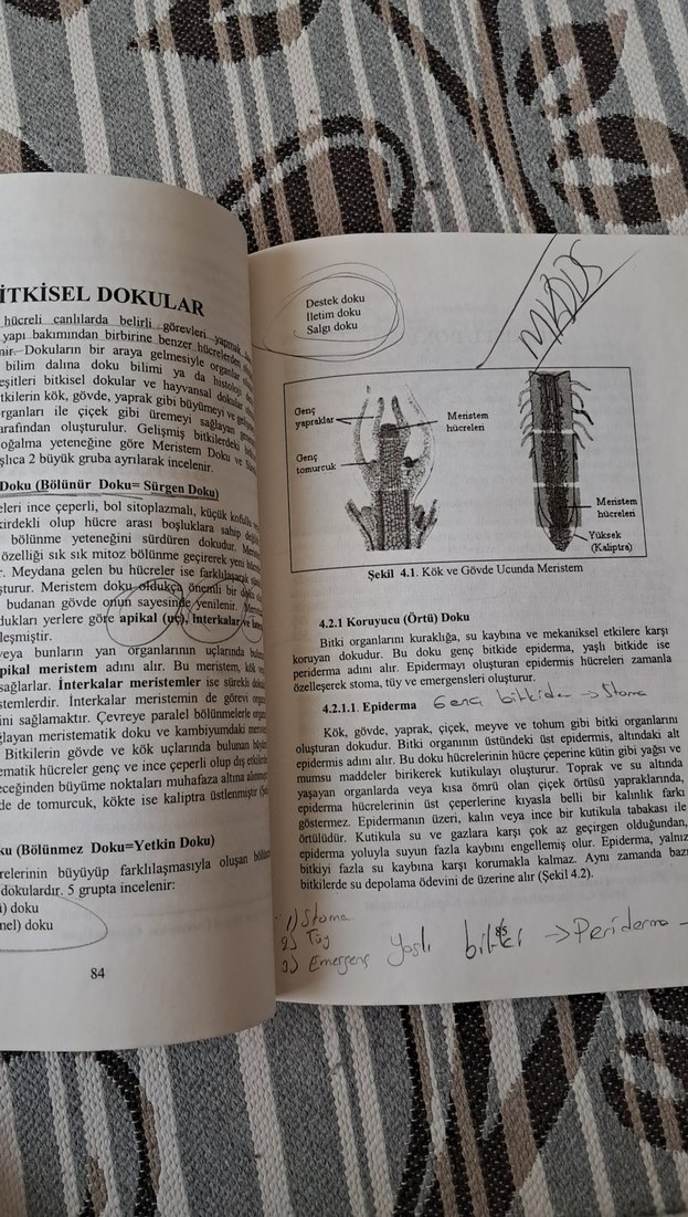 Genel Biyoloji Kitabı - 2. Baskı - Görsel 4