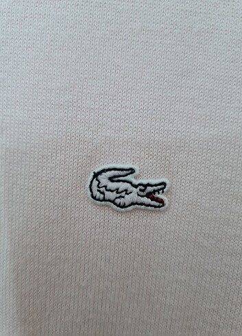 38 Beden pembe Renk Orijinal Lacoste triko