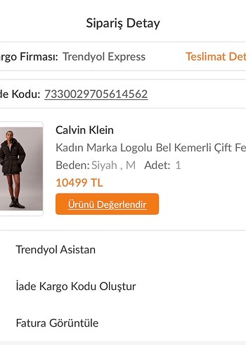 Kadın Siyah Kemerli Kış Montu - Görsel 5