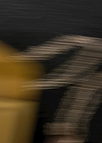 Kadın Çok Renkli Deri Tokalı Çanta - Görsel 13