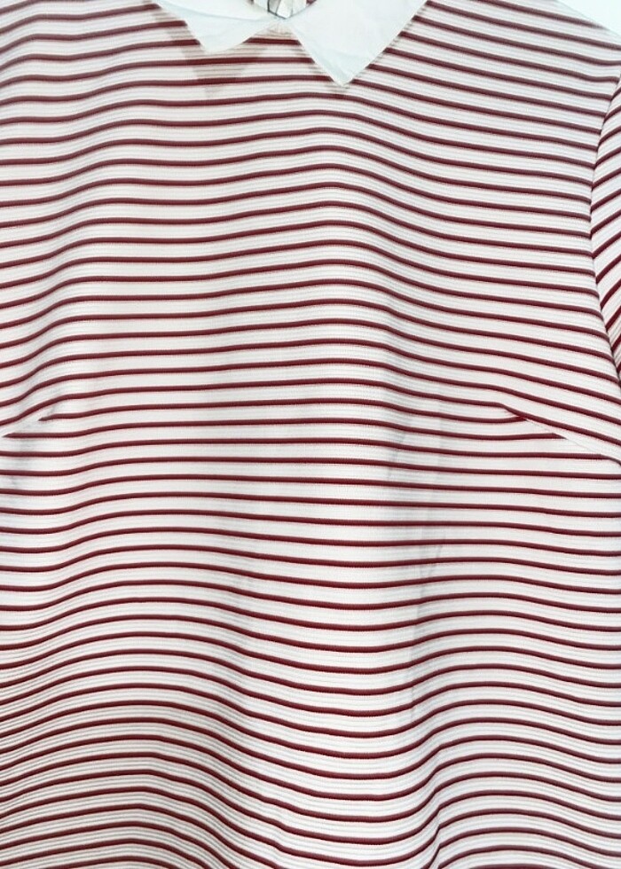 Yakalı tişört  - Görsel 3