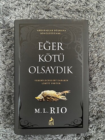 eger kotu olsaydık (if we were villains)