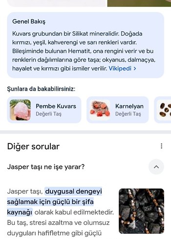 American Vintage Bej Parlak orjinal Jasper Taş Bileklik