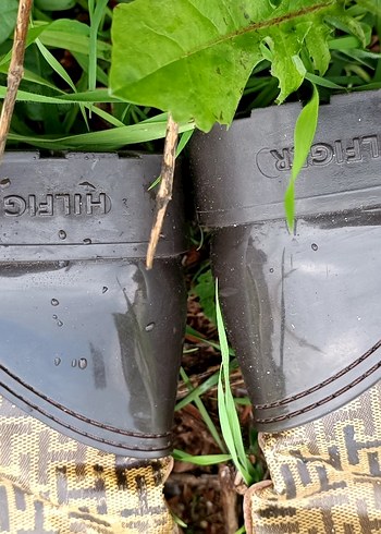 Tommy Hilfiger Kahverengi Yılan Desenli Deri Kadın Çizme 38 iade yok