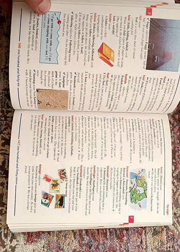 Orient Press First Illustrated Sözlük - Görsel 4