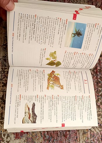 Orient Press First Illustrated Sözlük - Görsel 5