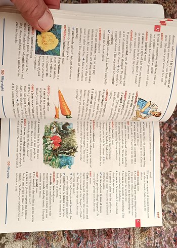 Orient Press First Illustrated Sözlük - Görsel 3