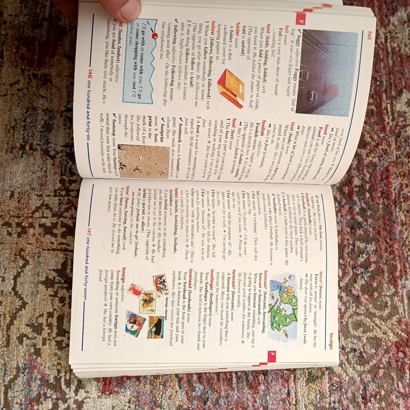 Orient Press First Illustrated Sözlük - Görsel 4