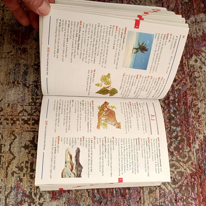 Orient Press First Illustrated Sözlük - Görsel 5