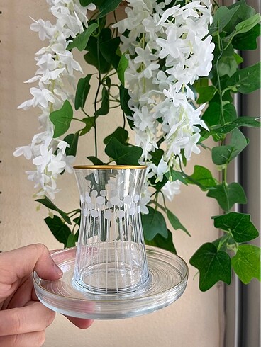 Sigma Glass 12 parça Çay Bardağı seti