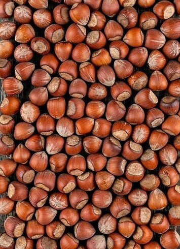 Fındık
