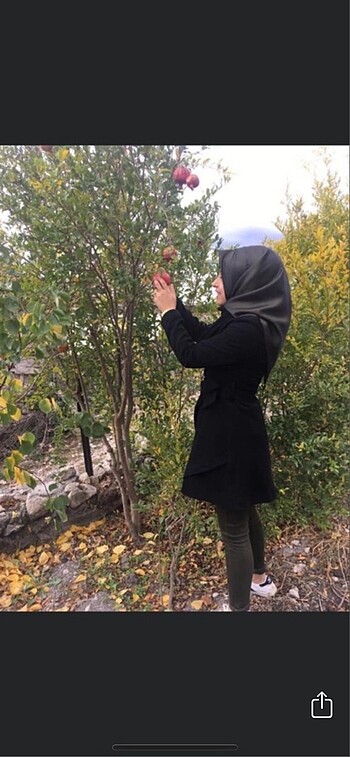 Kısa kaban