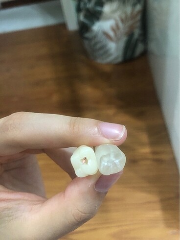 Beden Endoprep alt çene