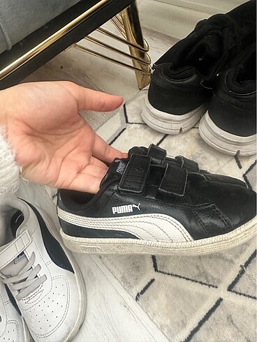 Puma spor