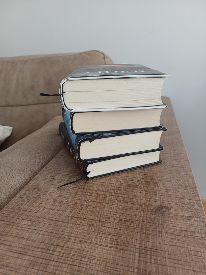 M. Rise Kitap Seti: Lider, Çaylak, Av, Avcı - Görsel 2