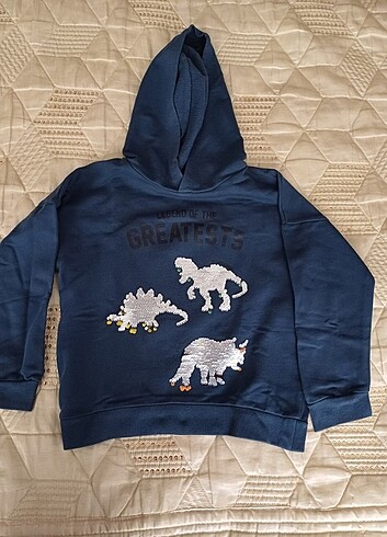 Defacto Erkek çocuk sweatshirt