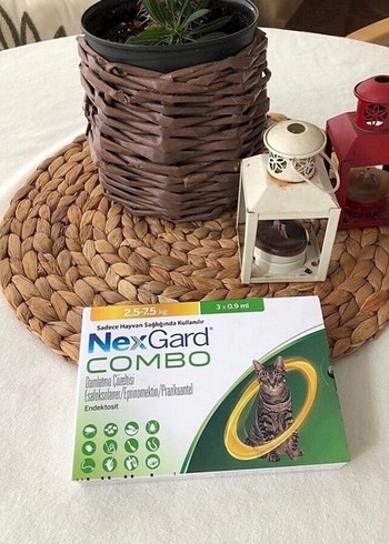 NexGard Combo Kedi