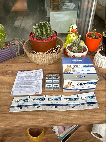 Tenizol kedi ve köpek iç parazit tablet (5 adet)