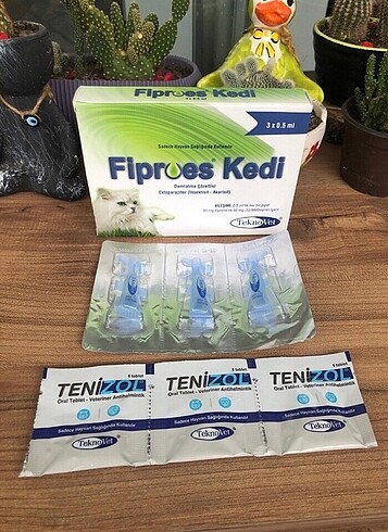 Kedi iç dış parazit